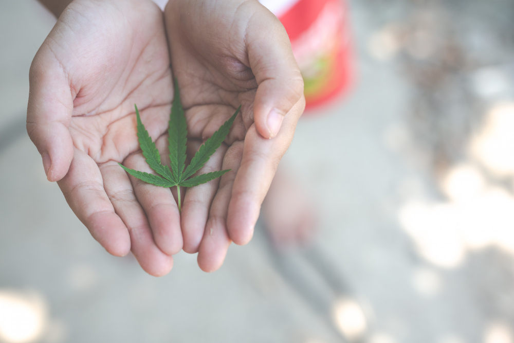 The Social Impact of Marijuana Legalization