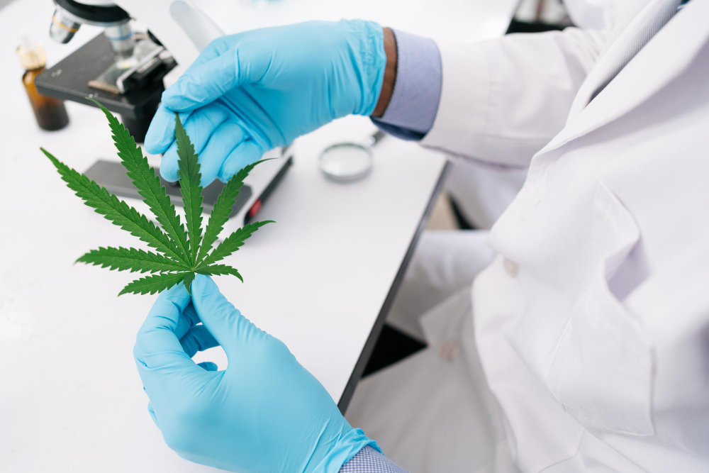 The Surprising Benefits of Medical Marijuana