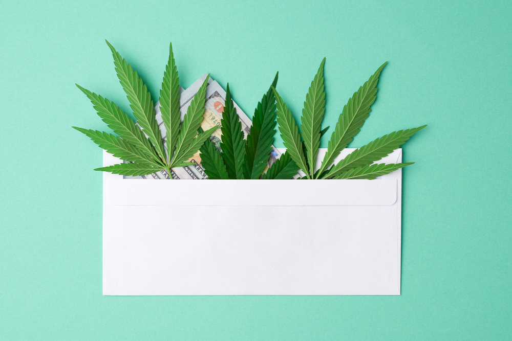 Finding Your Trusted Cannabis Card Provider in Altamonte Springs