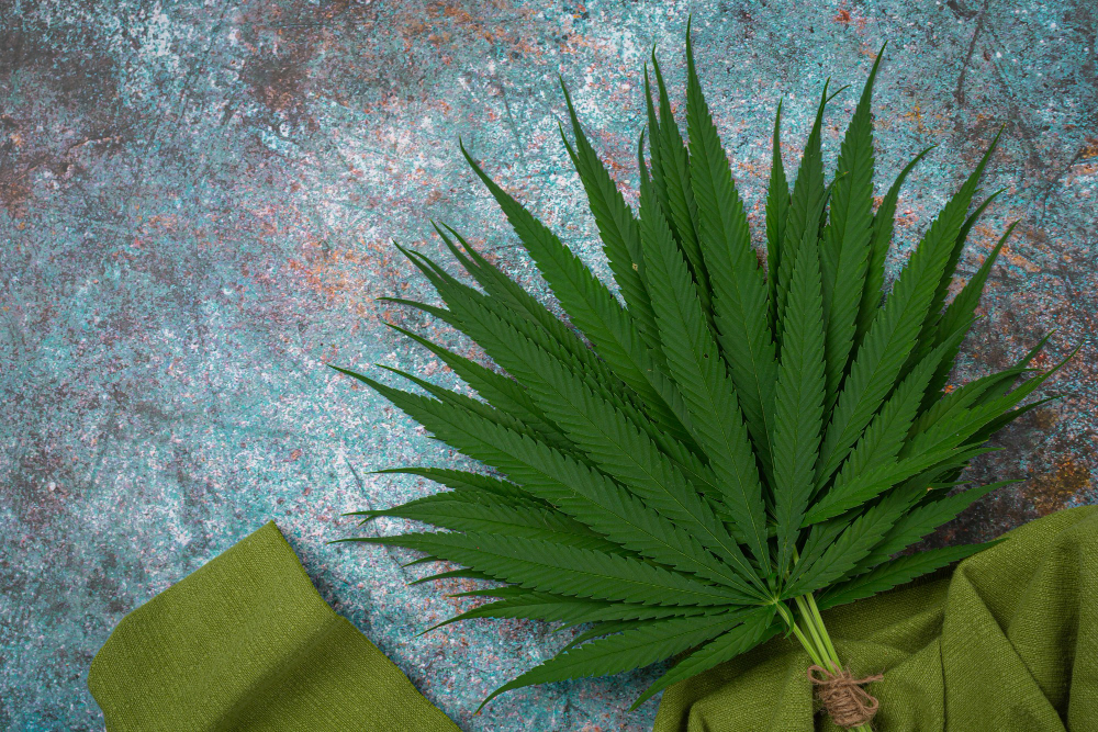 How to Use Your Cannabis Card in Orlando, FL