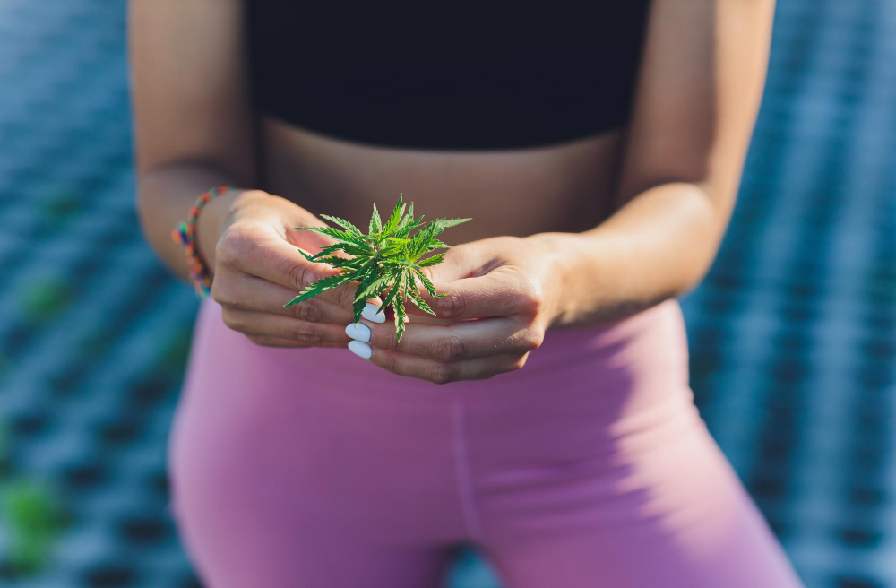 How Local Cannabis Card Providers Boost Patient Wellness