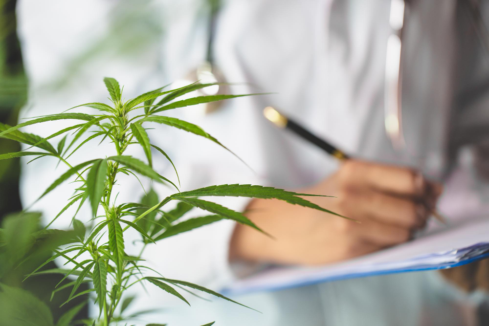Medical Cannabis in Orlando: What Qualified Patients Need to Know